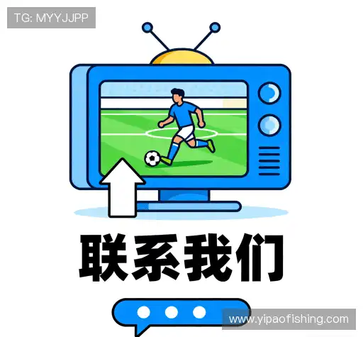 咨询支持